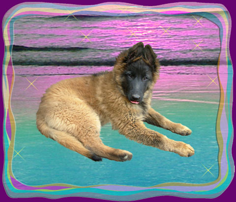 Brünhild 3 mois 1